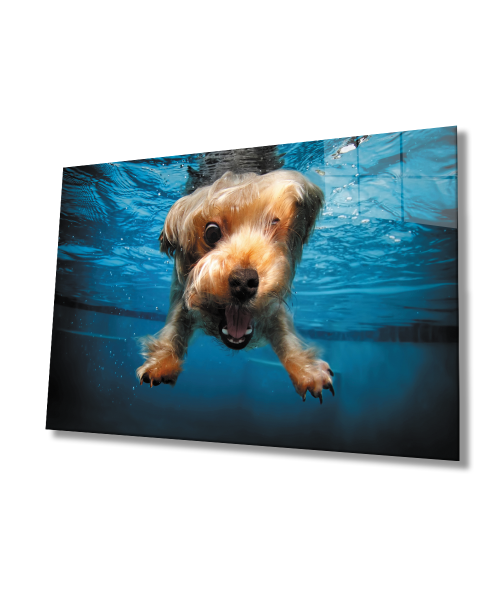 SuAltı Köpek Cam Tablo  4mm Dayanıklı Temperli Cam