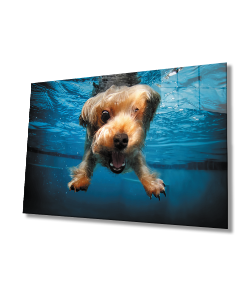 SuAltı Köpek Cam Tablo  4mm Dayanıklı Temperli Cam