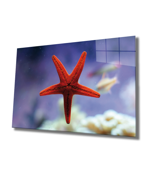 Kırmızı Yıldız Balığı Cam Tablo  4mm Dayanıklı Temperli Cam