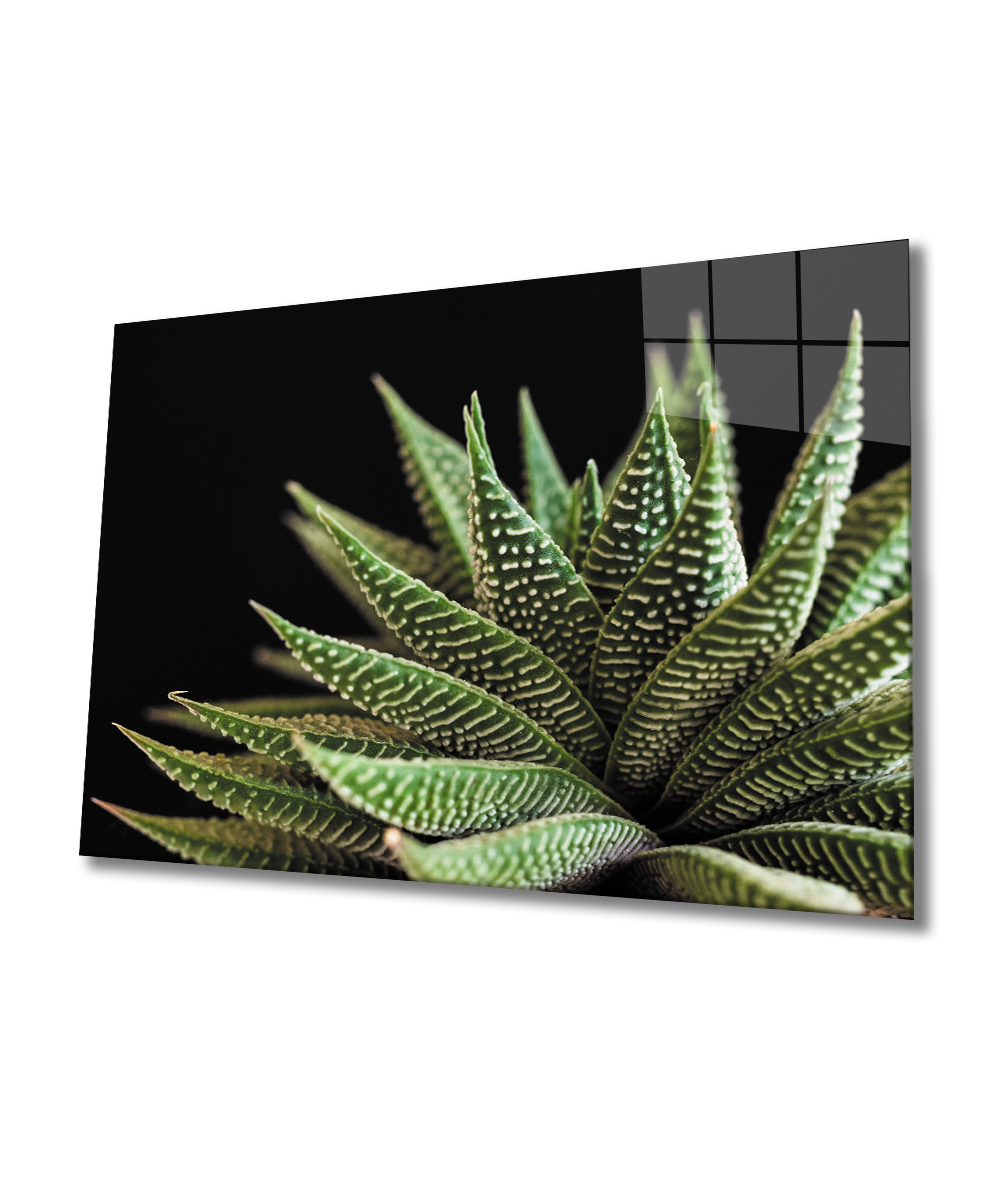 Aloevera Bitki Cam Tablo 4mm Dayanıklı Cam Tablo Temperli Cam, Purple Flower Glass Wall Decor