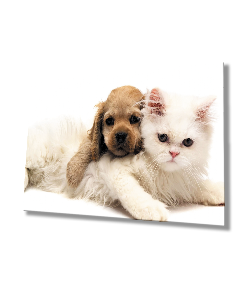 Kedi ve Köpek  Cam Tablo  4mm Dayanıklı Temperli Cam