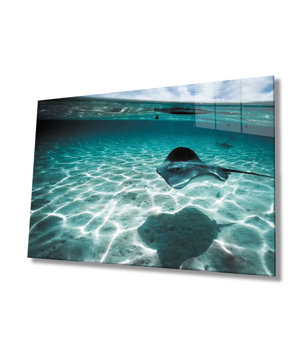 Balık  SuAltı Cam Tablo  4mm Dayanıklı Temperli Cam