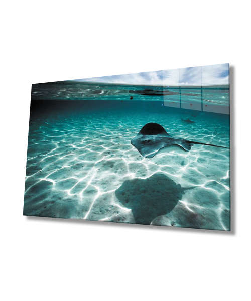 Balık  SuAltı Cam Tablo  4mm Dayanıklı Temperli Cam