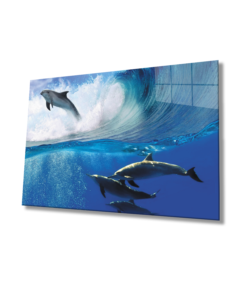 Yunusbalığı SuAltı Cam Tablo  4mm Dayanıklı Temperli Cam
