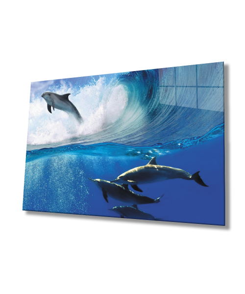 Yunusbalığı SuAltı Cam Tablo  4mm Dayanıklı Temperli Cam