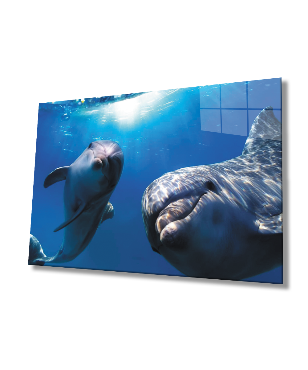 Yunus Balığı  SuAltı Cam Tablo  4mm Dayanıklı Temperli Cam