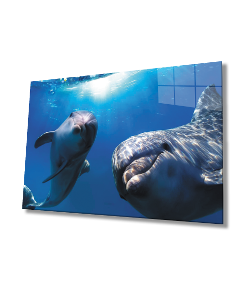 Yunus Balığı  SuAltı Cam Tablo  4mm Dayanıklı Temperli Cam