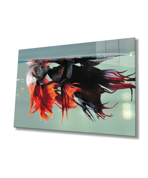 Renkli Balıklar SuAltı Cam Tablo  4mm Dayanıklı Temperli Cam