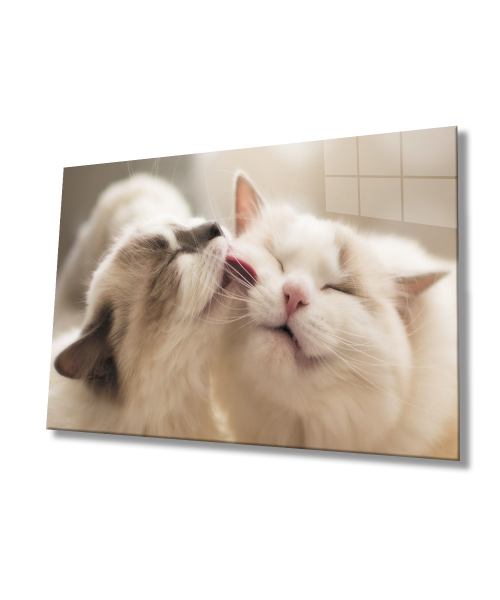 Kedi Cam Tablo  4mm Dayanıklı Temperli Cam