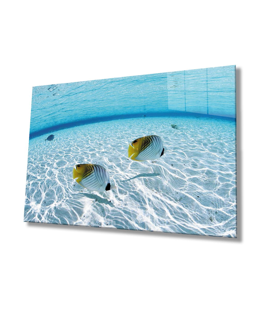 Balıklar SuAltı Cam Tablo  4mm Dayanıklı Temperli Cam