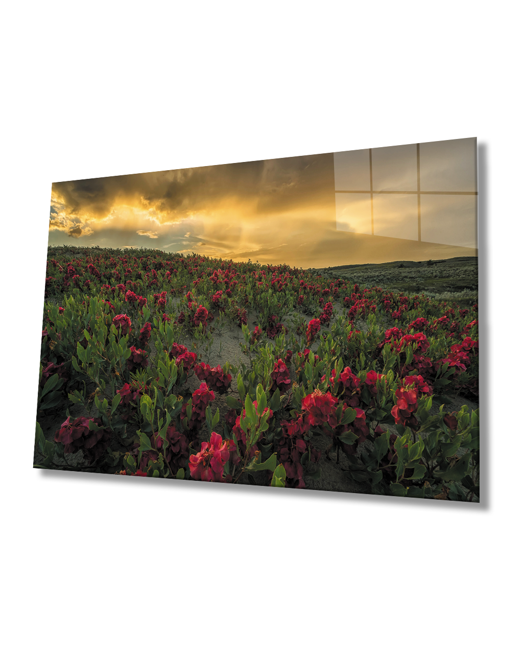 Gün Batımında Dağ Kırmızı Çiçekler  Cam Tablo  4mm Dayanıklı Temperli Cam