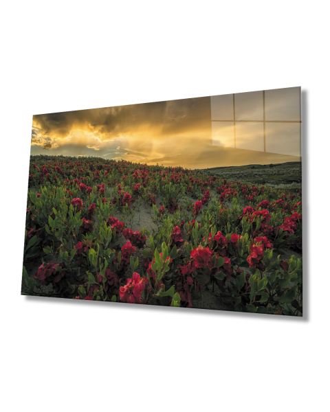 Gün Batımında Dağ Kırmızı Çiçekler  Cam Tablo  4mm Dayanıklı Temperli Cam