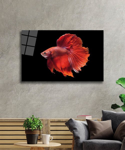 Turuncu Balık Cam Tablo  4mm Dayanıklı Temperli Cam, Orange Fish Glass Wall Art