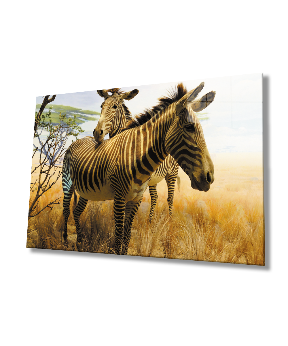 Zebra Hayvan  Cam Tablo  4mm Dayanıklı Temperli Cam