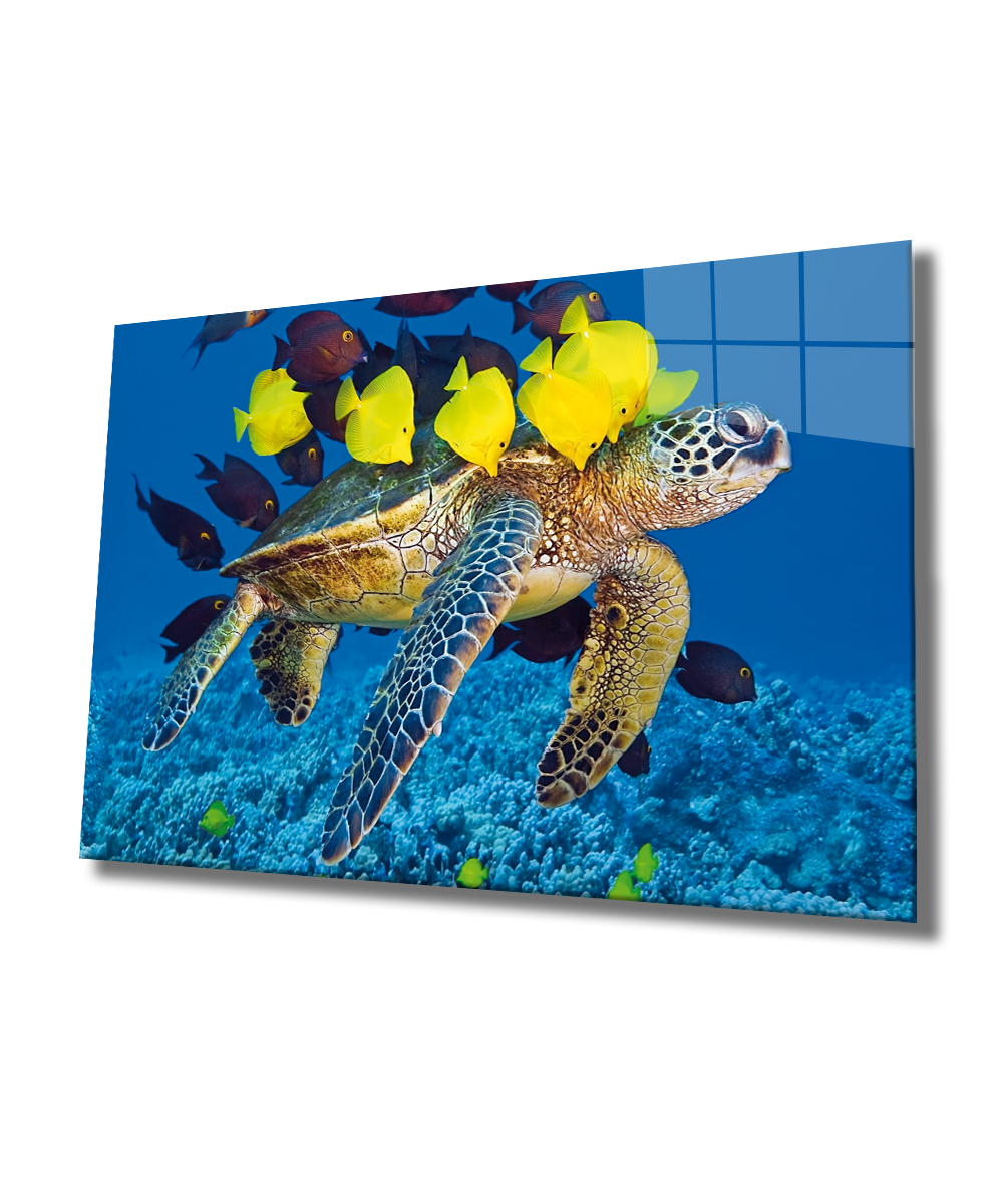 Deniz Kaplumbağası ve Balıklar Cam Tablo  4mm Dayanıklı Temperli Cam, Sea Turtle and Fishes Glass Wall Art