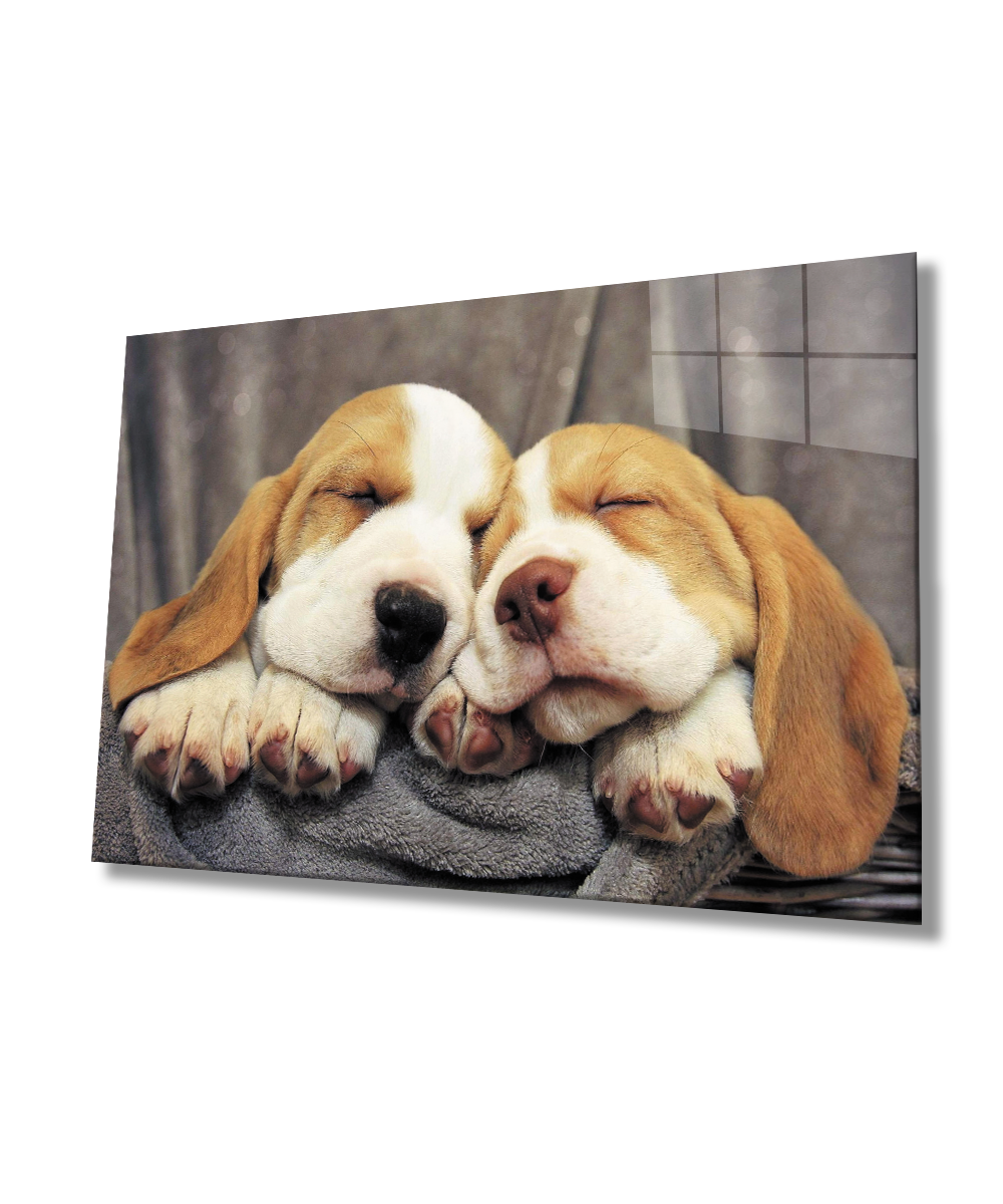 Uyuyan Köpekler Cam Tablo  4mm Dayanıklı Temperli Cam