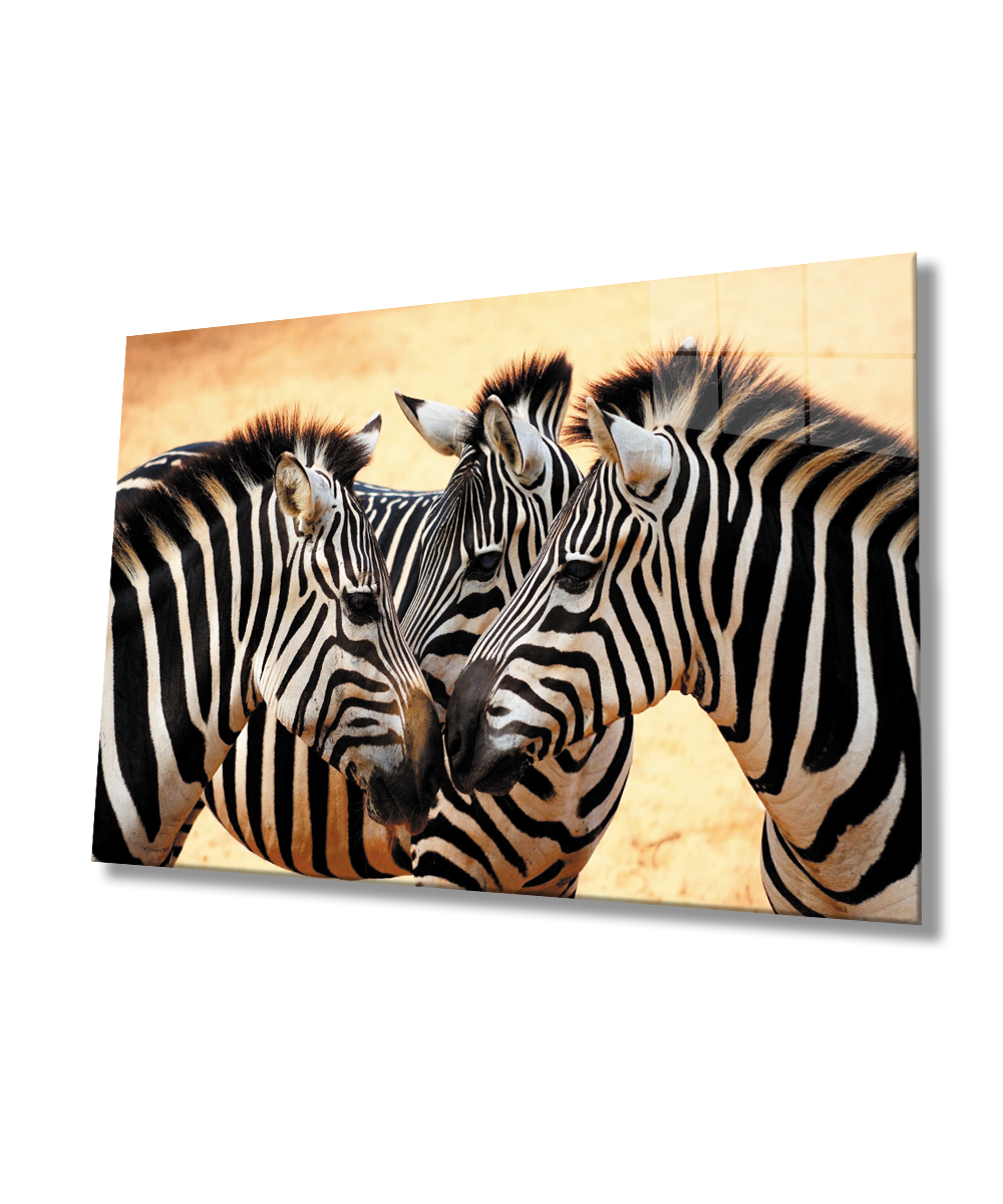 Zebra Hayvan Cam Tablo  4mm Dayanıklı Temperli Cam