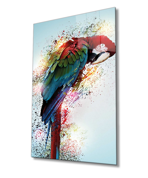Renkli Papağan Tablo Tablo 4mm Dayanıklı Temperli Cam