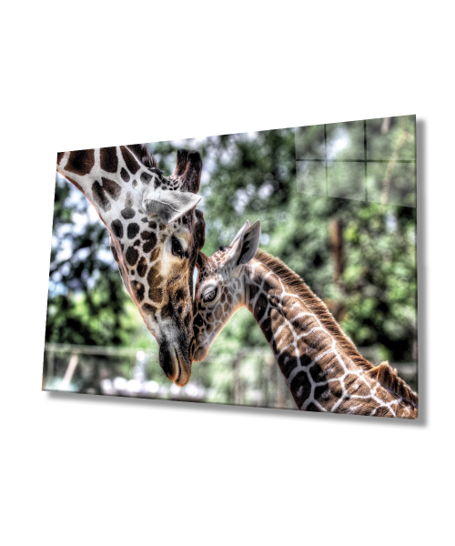 Zürafa Hayvan Cam Tablo  4mm Dayanıklı Temperli Cam