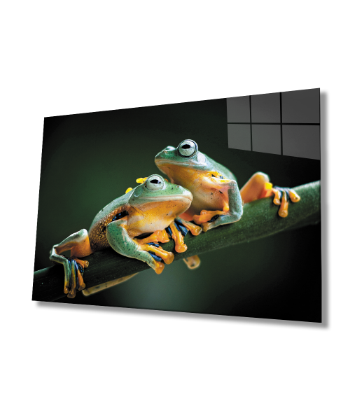 Kurbağa Cam Tablo  4mm Dayanıklı Temperli Cam