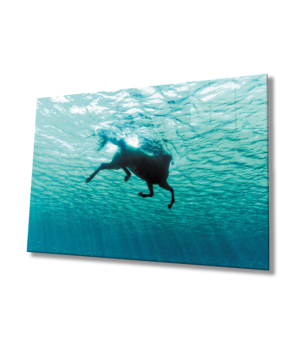 Yüzen At  SuAltı Cam Tablo  4mm Dayanıklı Temperli Cam