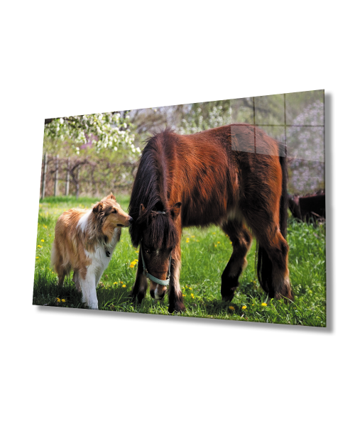 At ve Köpek Cam Tablo  4mm Dayanıklı Temperli Cam