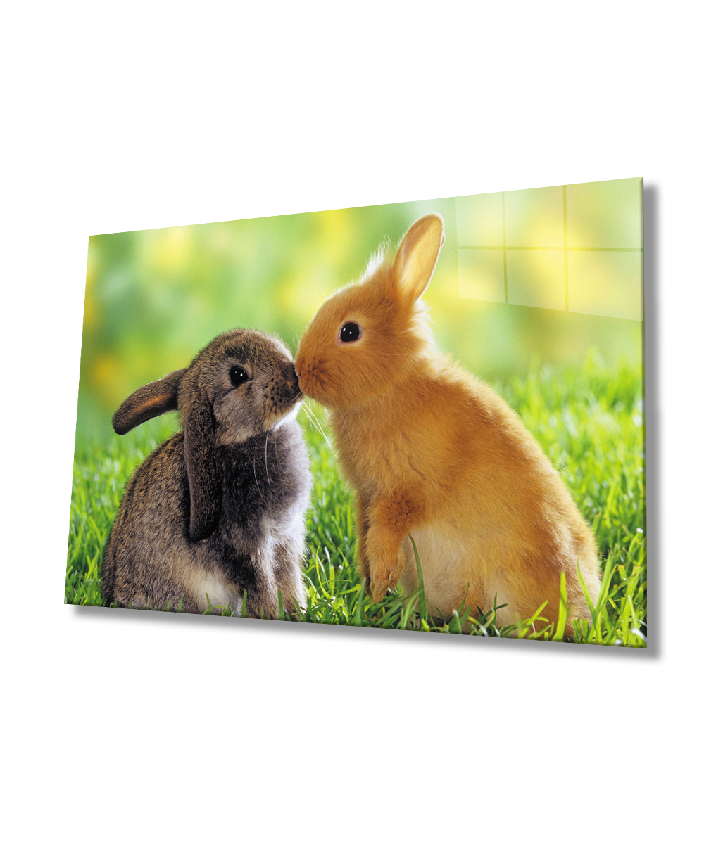 Tavşanlar Cam Tablo  4mm Dayanıklı Temperli Cam