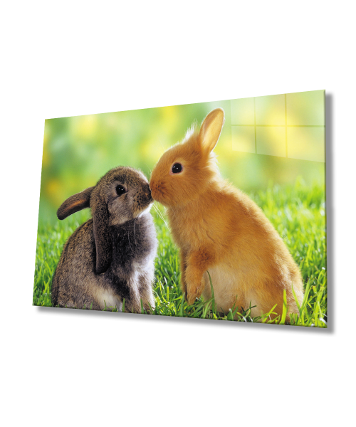 Tavşanlar Cam Tablo  4mm Dayanıklı Temperli Cam
