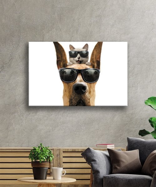 Gözlüklü Kedi ve Köpek Cam Tablo  4mm Dayanıklı Temperli Cam