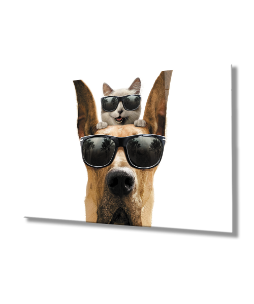 Gözlüklü Kedi ve Köpek Cam Tablo  4mm Dayanıklı Temperli Cam