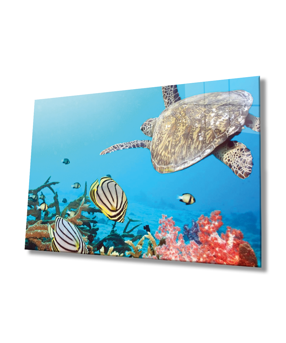 Kaplumbağa Sualtı Cam Tablo  4mm Dayanıklı Temperli Cam
