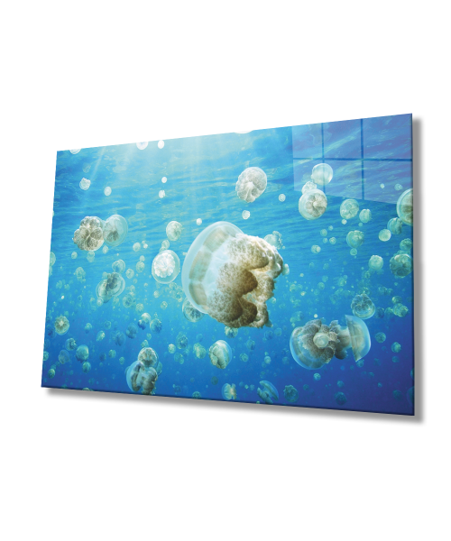 SuAltı Cam Tablo  4mm Dayanıklı Temperli Cam