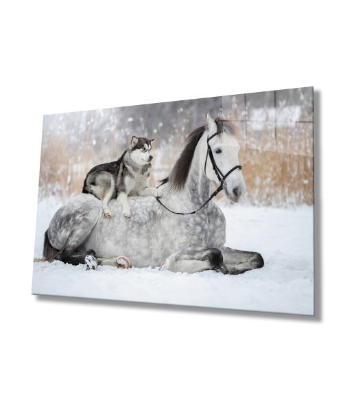 At  ve Köpek Cam Tablo  4mm Dayanıklı Temperli Cam