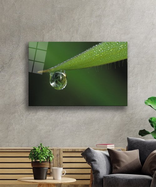 Su Damlası  Yeşil Yaprak  Cam Tablo  4mm Dayanıklı Temperli Cam Water Drop Green Leaf Glass Wall Decor