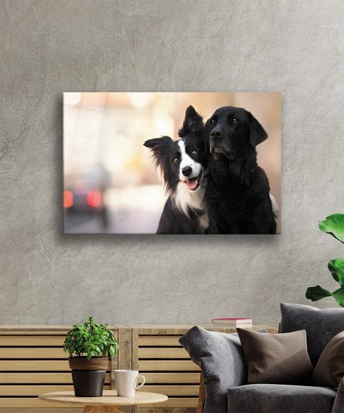 Siyah Beyaz Köpek Cam Tablo  4mm Dayanıklı Temperli Cam