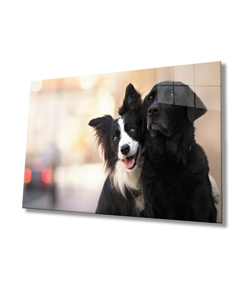 Siyah Beyaz Köpek Cam Tablo  4mm Dayanıklı Temperli Cam