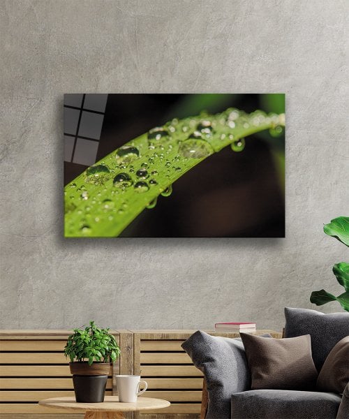 Su Damlaları Yeşil yaprak Cam Tablo  4mm Dayanıklı Temperli Cam Water Drop Green Leaf Glass Wall Art
