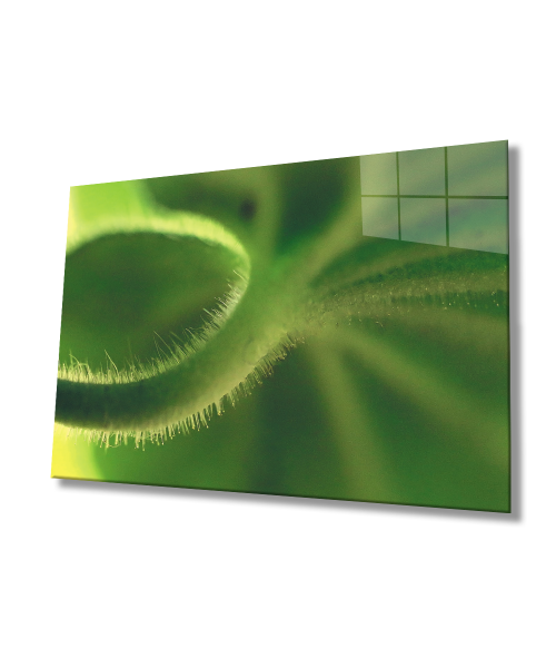 Yeşil Yaprak Cam Tablo  4mm Dayanıklı Temperli Cam  Green Leaves Glass Wall Art