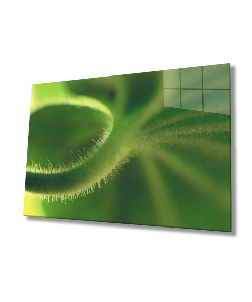 Yeşil Yaprak Cam Tablo  4mm Dayanıklı Temperli Cam  Green Leaves Glass Wall Art