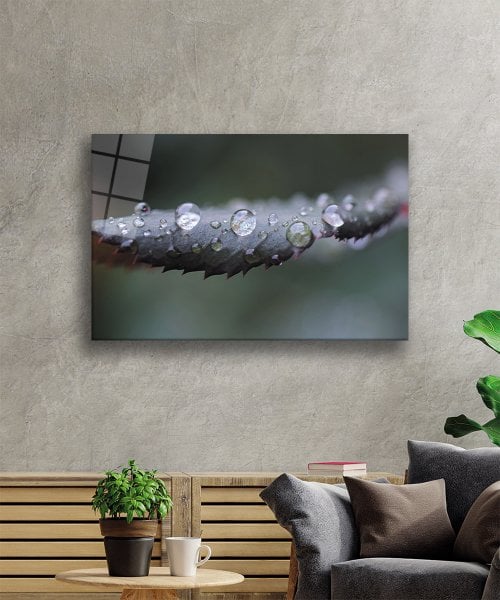 Su Damlaları Yeşil Yapraklar  Cam Tablo  4mm Dayanıklı Temperli Cam Water Drops Green Leaves Glass Wall Decor