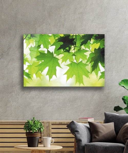 Yeşil Yapraklar Cam Tablo  4mm Dayanıklı Temperli Cam Green Leaves Glass Wall Decor