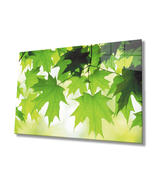 Yeşil Yapraklar Cam Tablo  4mm Dayanıklı Temperli Cam Green Leaves Glass Wall Decor