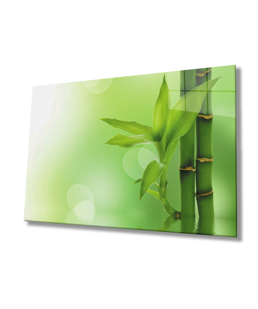 Yeşil Bitki Cam Tablo  4mm Dayanıklı Temperli Cam Green Plant Glass Wall Art