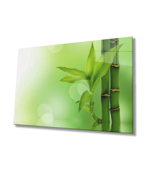 Yeşil Bitki Cam Tablo  4mm Dayanıklı Temperli Cam Green Plant Glass Wall Art