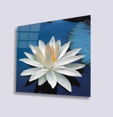 Lotus Çiçeği Uv Baskılı Cam Tablo 4mm Dayanıklı Temperli Cam 50x50 Cm