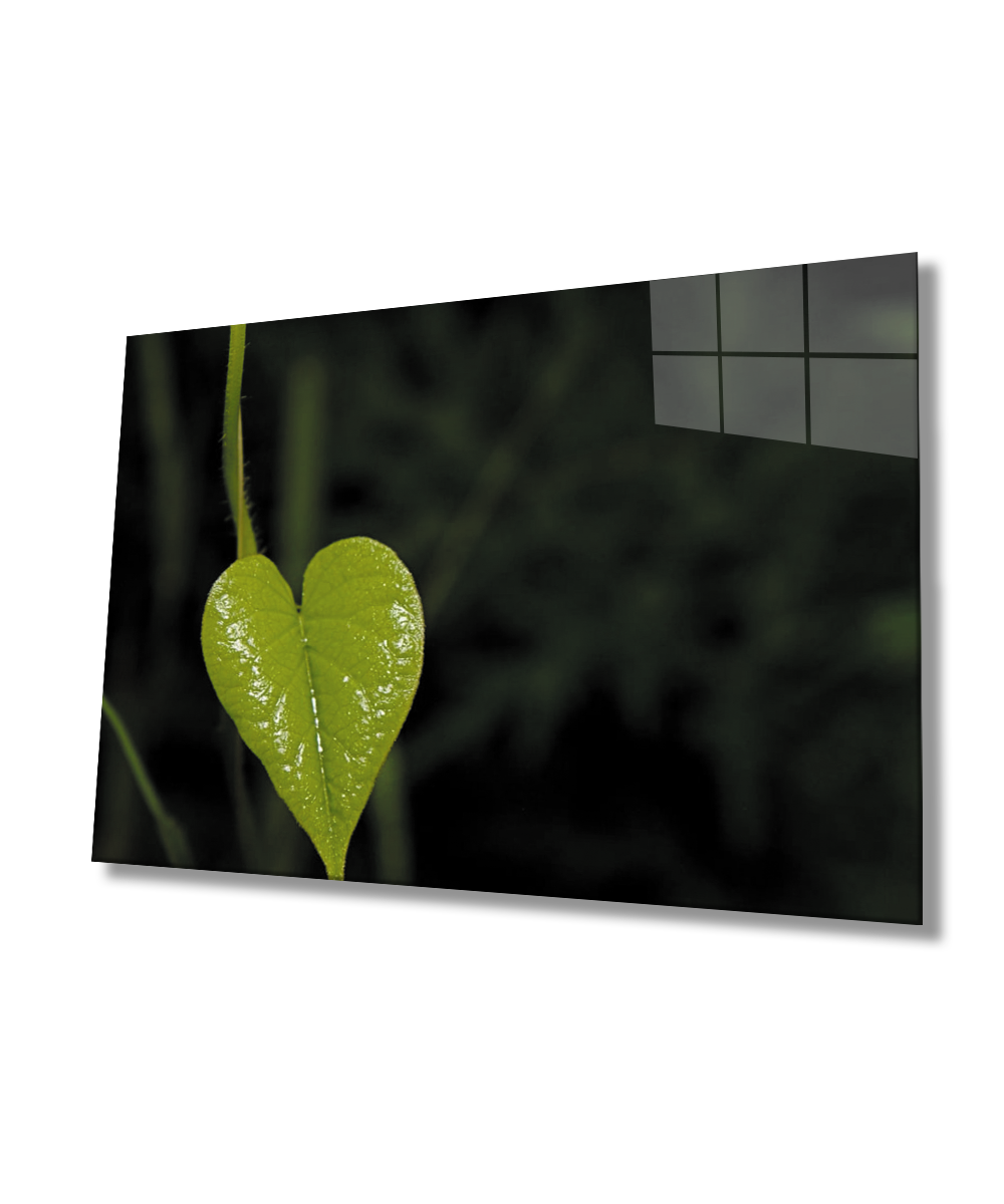 Yeşil Kalp  Yaprak  Cam Tablo  4mm Dayanıklı Temperli Cam Green Heart Leaf Glass Wall Art