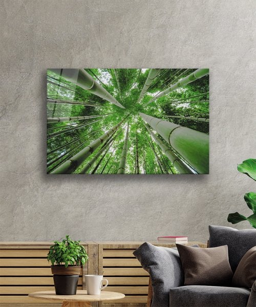 Aşağıdan Yukarı Orman Yeşil Cam Tablo  4mm Dayanıklı Temperli Cam Bottom Up Forest Green Glass Wall Art