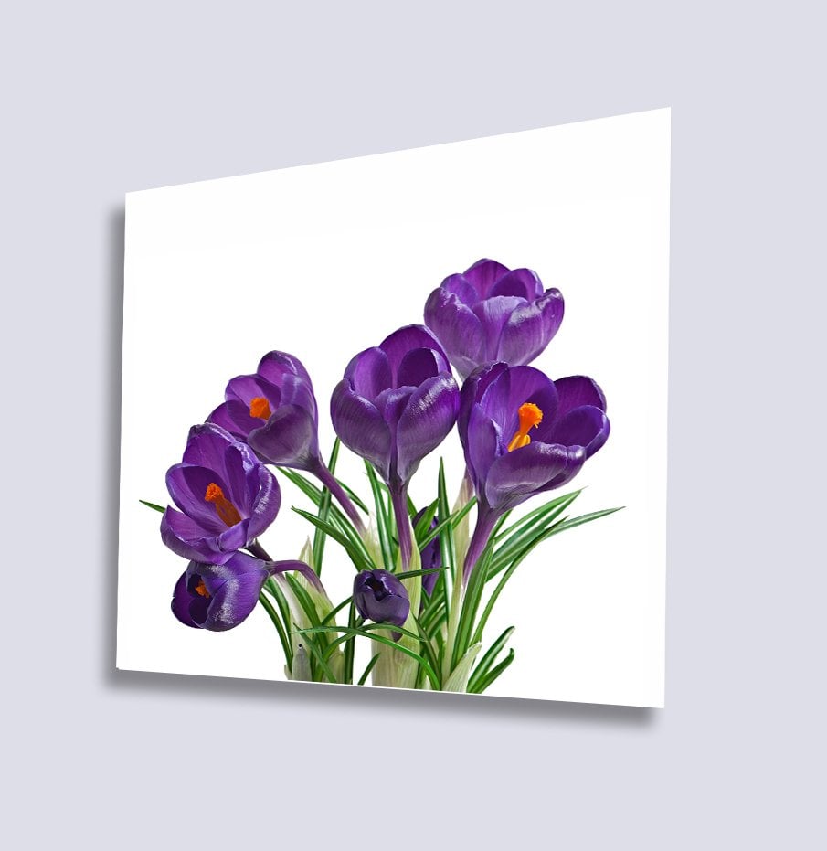 Mor  Çiçekler Uv Baskılı Cam Tablo 4mm Dayanıklı Temperli Cam 50x50 Cm