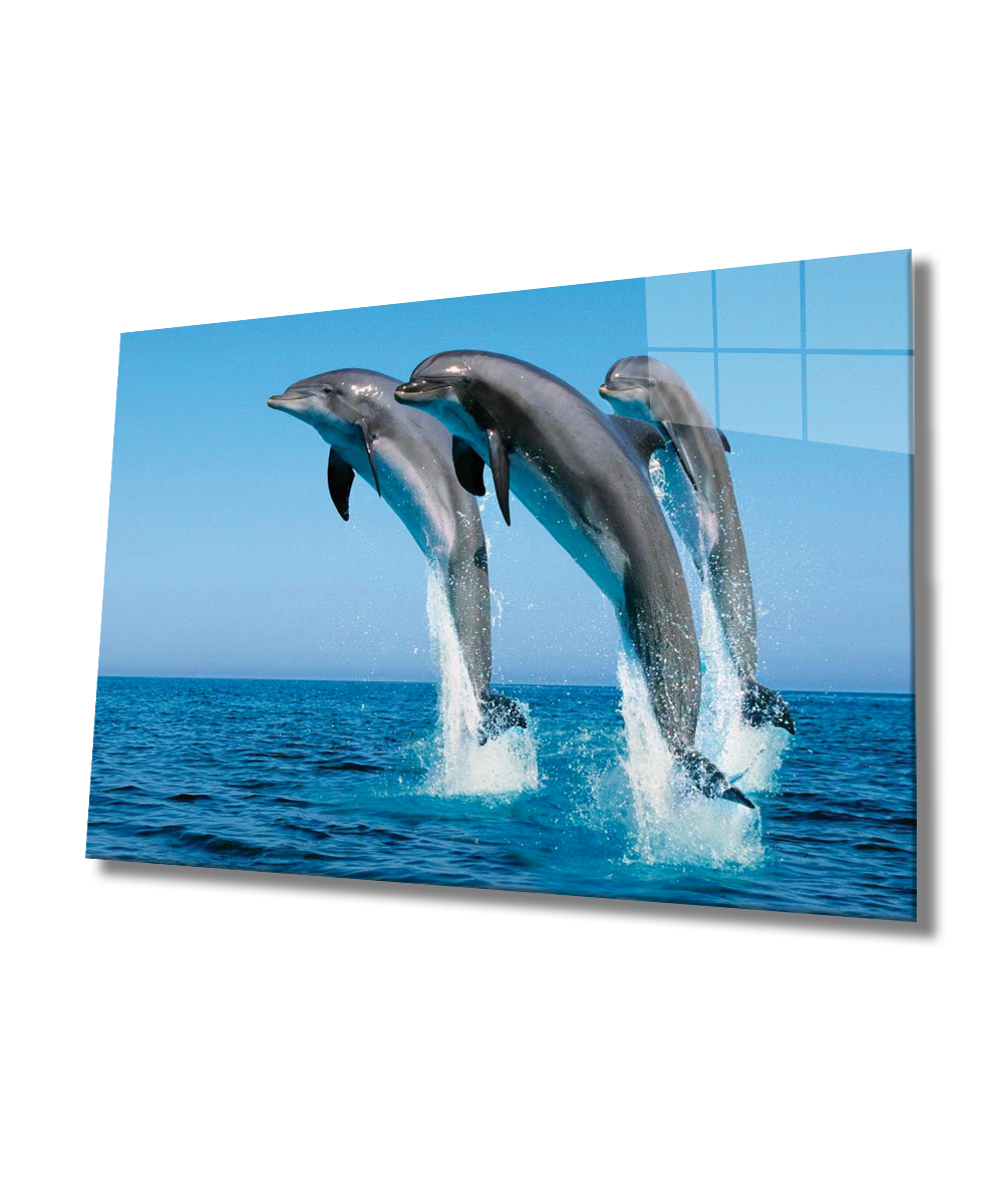 Yunus Balıkları Cam Tablo  4mm Dayanıklı Temperli Cam, Dolphins Glass Wall Art