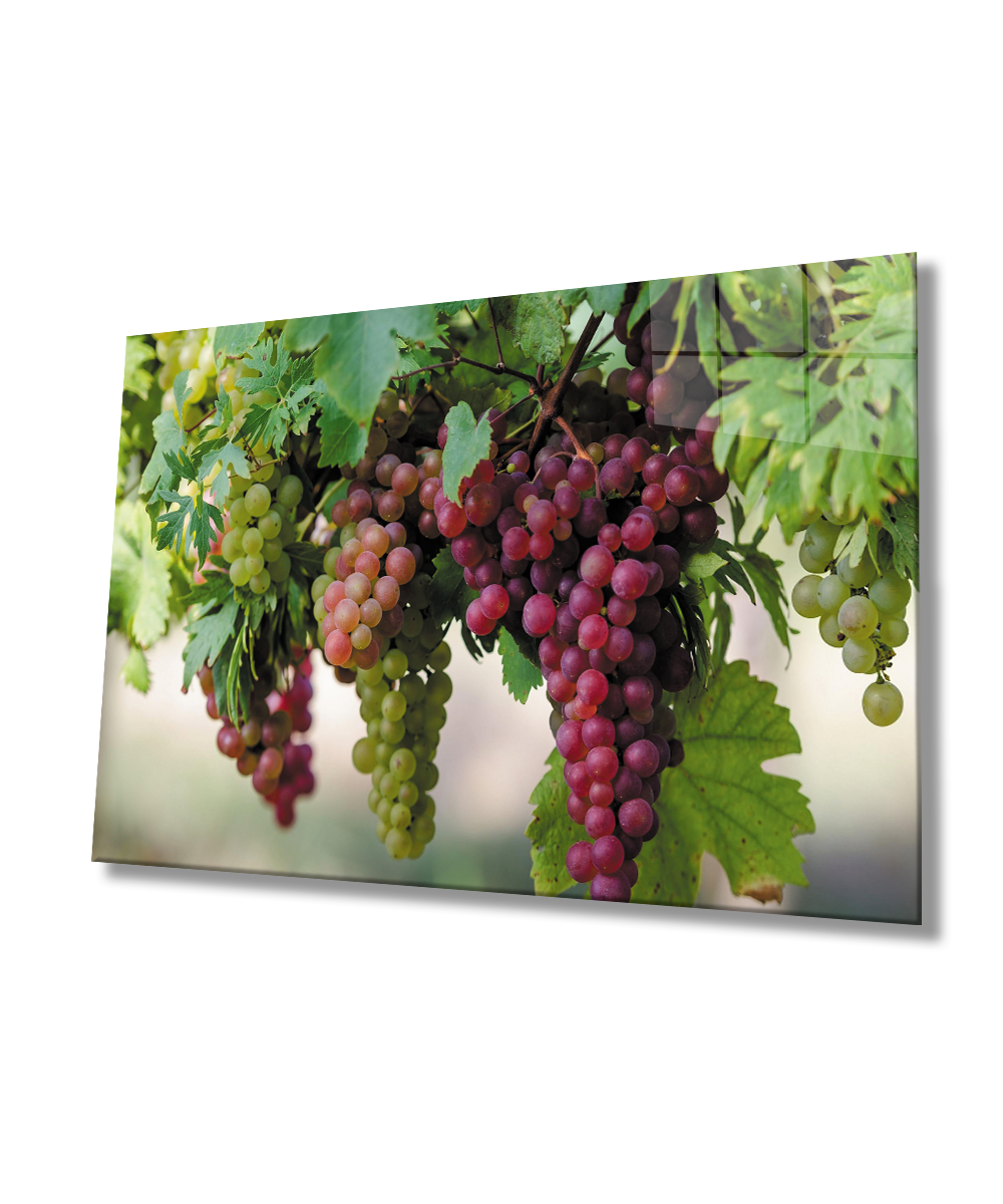 Üzüm Cam Tablo  4mm Dayanıklı Temperli Cam Grape Glass Wall Art